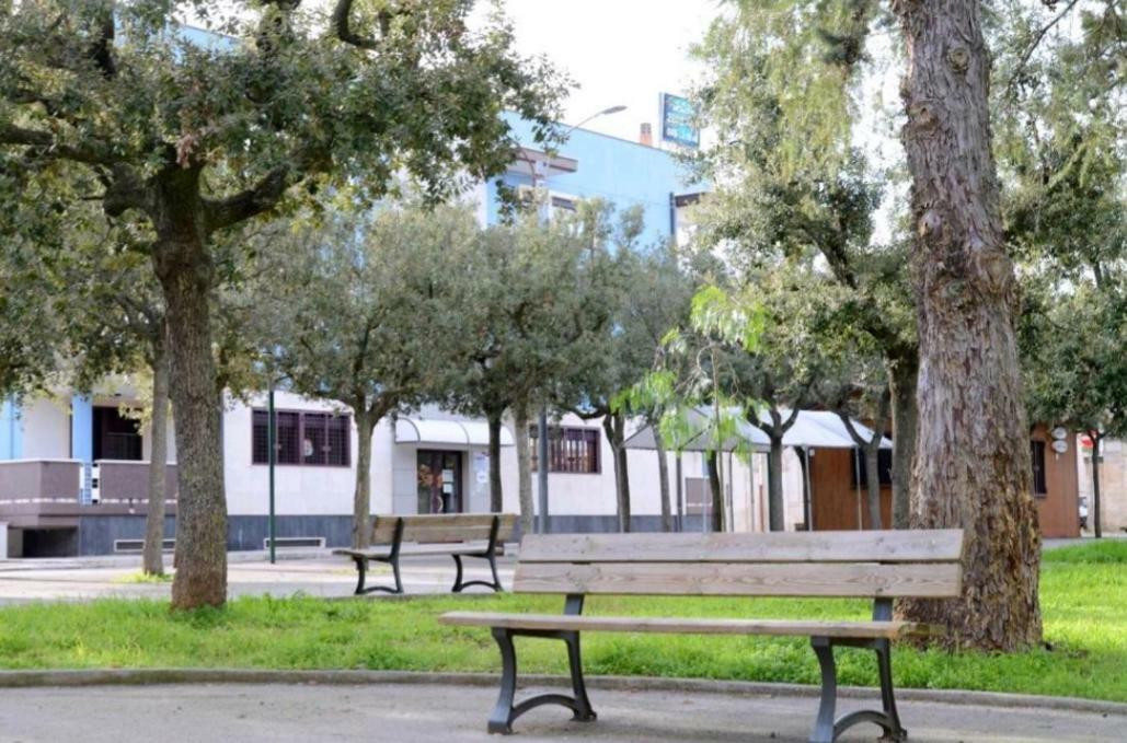 "La Casa Di Mariagrazia" Rooms Con Cucina Condivisa E Terrazza Sammichele Di Bari Dış mekan fotoğraf