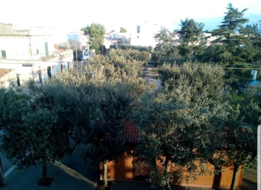 "La Casa Di Mariagrazia" Rooms Con Cucina Condivisa E Terrazza Sammichele Di Bari Dış mekan fotoğraf